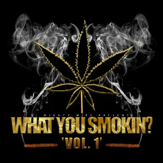 What You Smokin?, Vol.1 by Unknown Artist