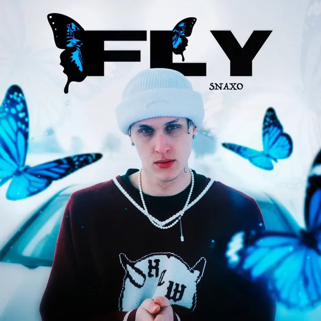 Fly