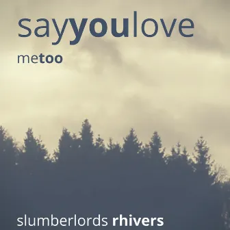 Say You Love Me Too by slumberlords