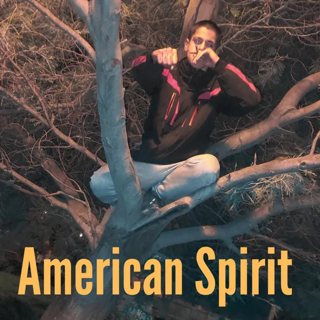 American Spirit