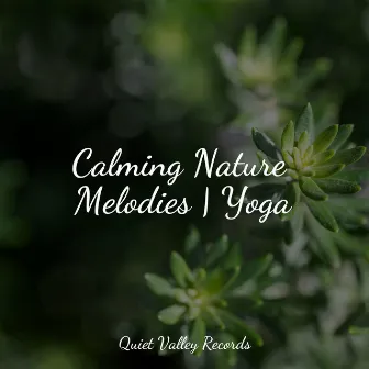 Calming Nature Melodies | Yoga by Relaxamento