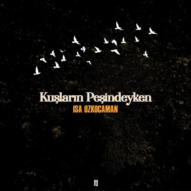 Kuşların Peşindeyken