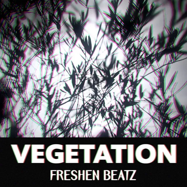 Vegetation