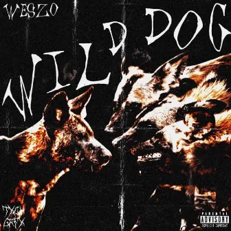 Wild Dog by Weszo