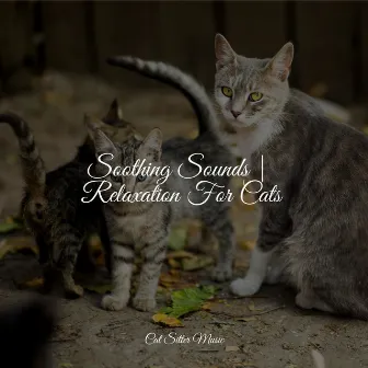 Soothing Sounds | Relaxation For Cats by Music for Cats Peace