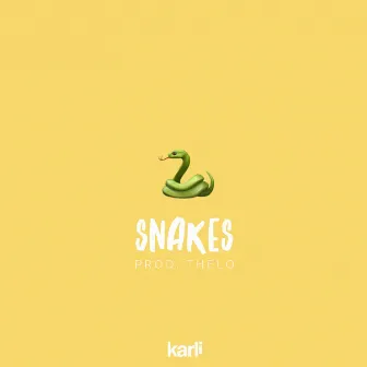 Snakes by Karli