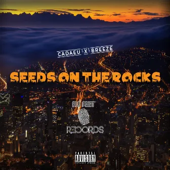 Seeds on the rocks by Breeze