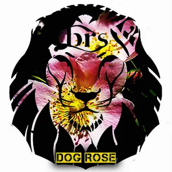 Dog Rose by Ed Nino