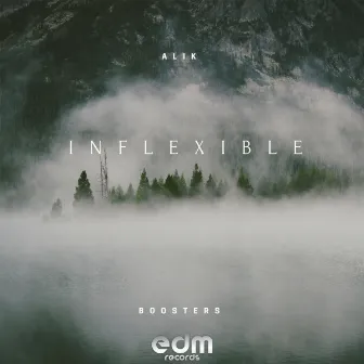 Inflexible by BOOSTERS