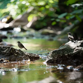 Soothing Binaural Creek and Birds: Nature's Relaxing Ambiance by La Shangri