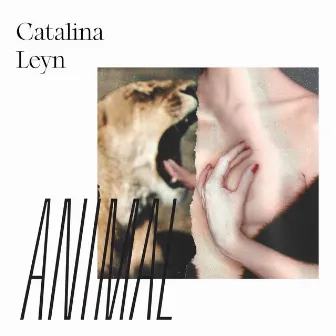 ANIMAL by Catalina Leyn