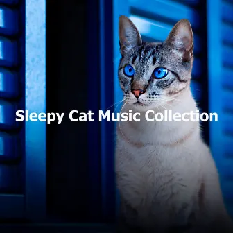 Sleepy Cat Music Collection by Cat Sleeping Music Project