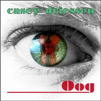 Oog by Casey Driessen