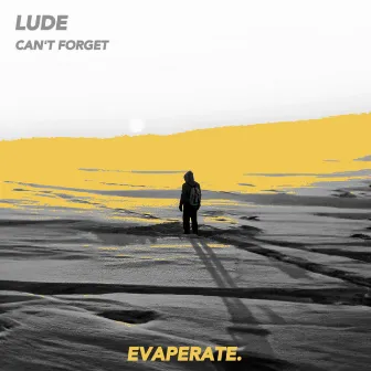 Can't Forget by LUDE