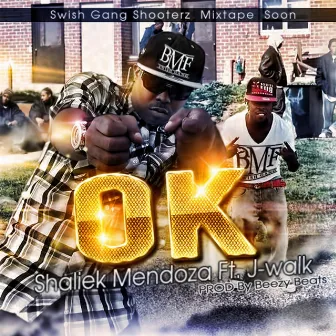 Ok (feat. J - Walk) by Shaliek Mendoza