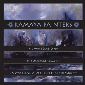 Wasteland by Kamaya Painters