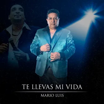 Te Llevas Mi Vida by Mario Luis