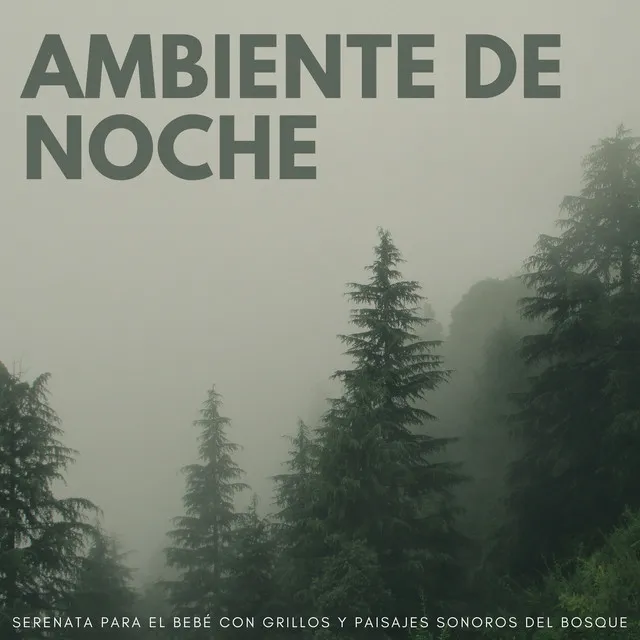 Grillos De Noche: La Suave Canción De Cuna De La Naturaleza