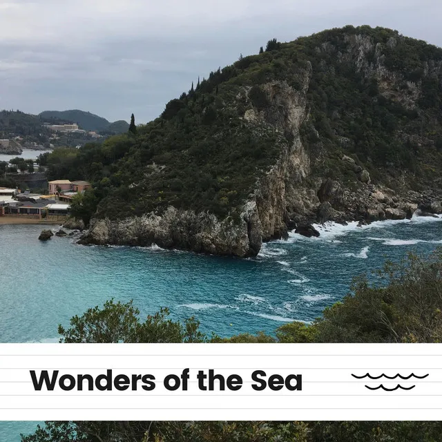 Wonders of the Sea