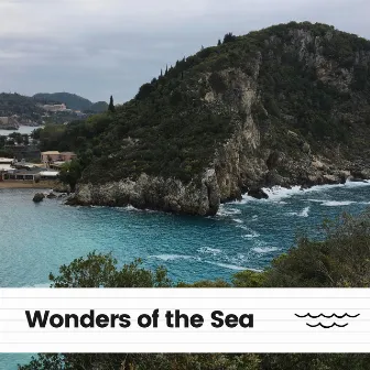 Wonders of the Sea by Ocean Sound Machine