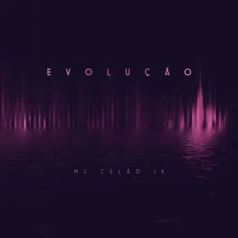 Evolução by PDF RECORDS