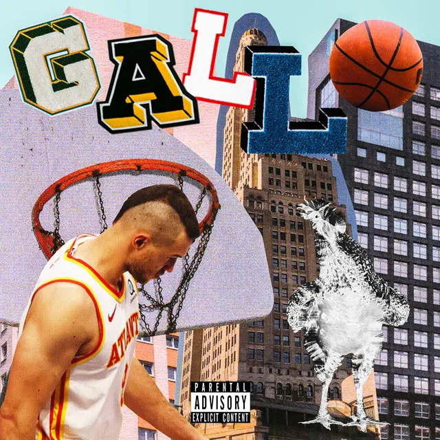 Gallo!