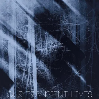 Wither of Winter (Liminal Version) by Our Transient Lives