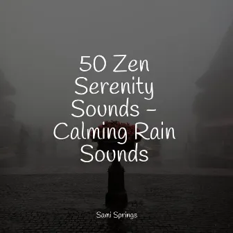 50 Zen Serenity Sounds - Calming Rain Sounds by Sonidos De Lluvia y Tormentas