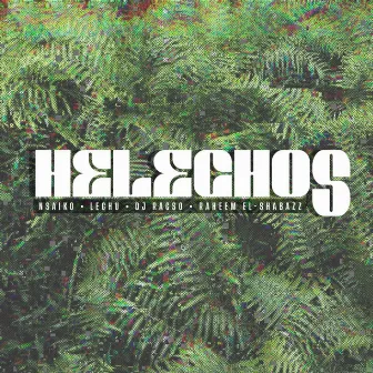 Helechos - Shabazz Remix by N. Saiko