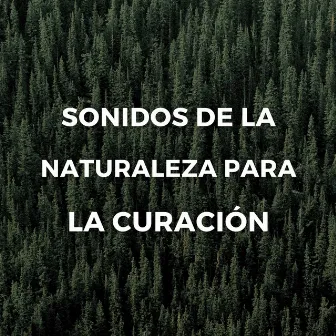 Sonidos De La Naturaleza Para La Curación by Canciones para dormir con sonidos de la naturaleza