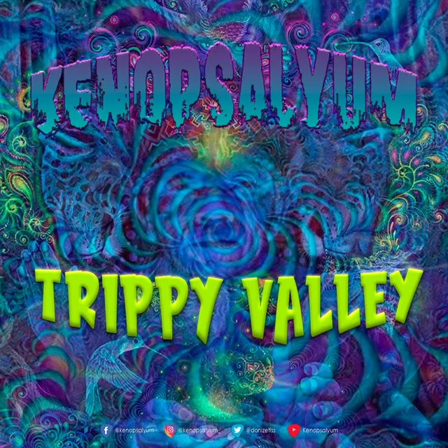 Trippy Valley