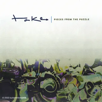 Pieces From The Puzzle by Take