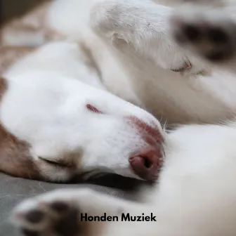 Honden Muziek by Honden Records