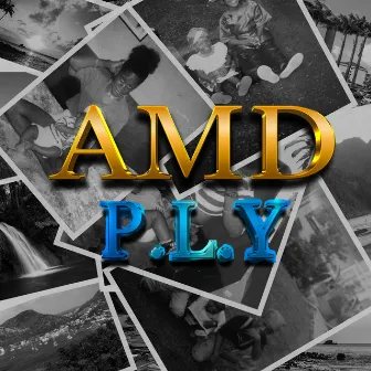 AMD by P.L.Y