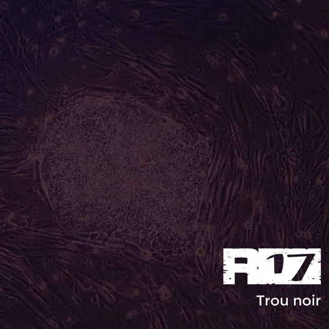 Trou noir (Remix)