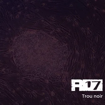 Trou noir (Remix) by Règlement 17