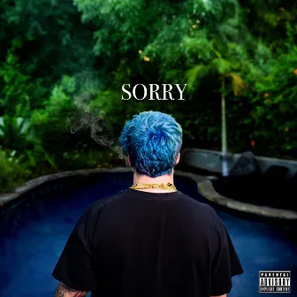 Sorry by Richy Rob