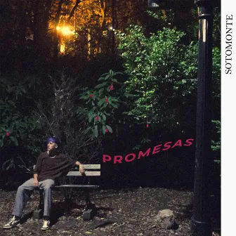 Promesas by Sotomonte