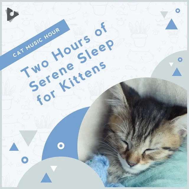 2 Hours of Serene Sleep for Kittens