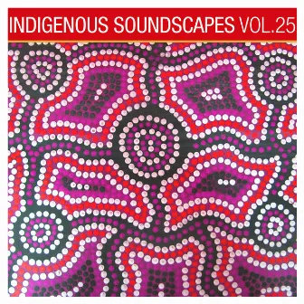 Indigenous Soundscapes, Vol. 25 by David Hudson