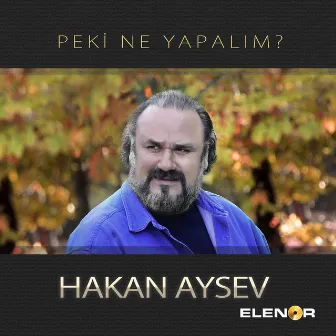 Peki Ne Yapalım by Hakan Aysev