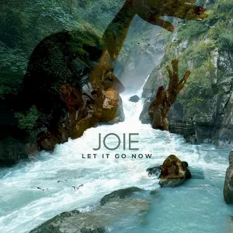 LET IT GO NOW (Minimal Version) by Joie de Winter