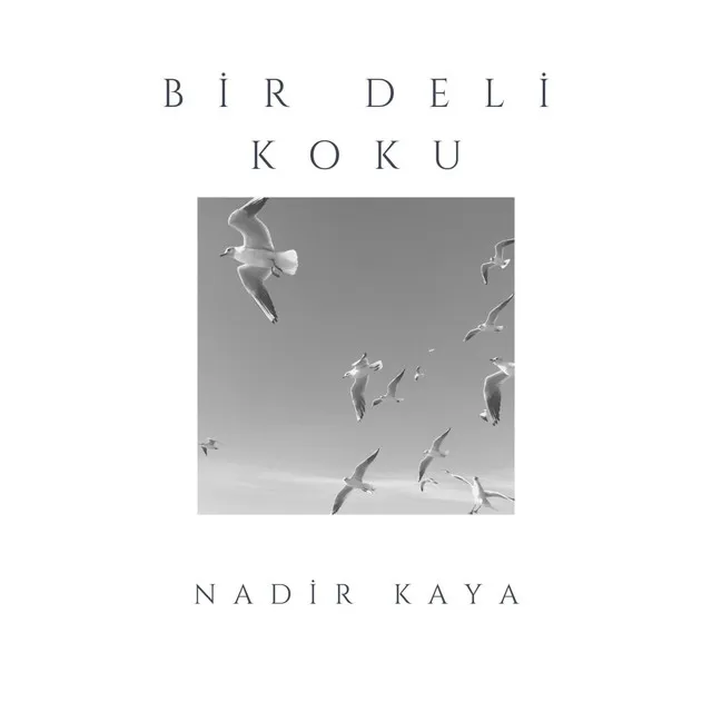 Bir Deli Koku - Live