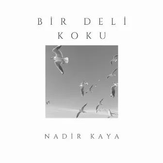 Bir Deli Koku by Nadir Kaya