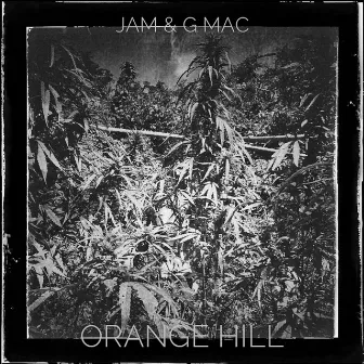 Orange Hill by JAM