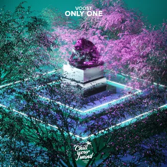 Only One by Voost