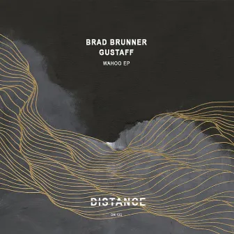 Wahoo EP by Brad Brunner