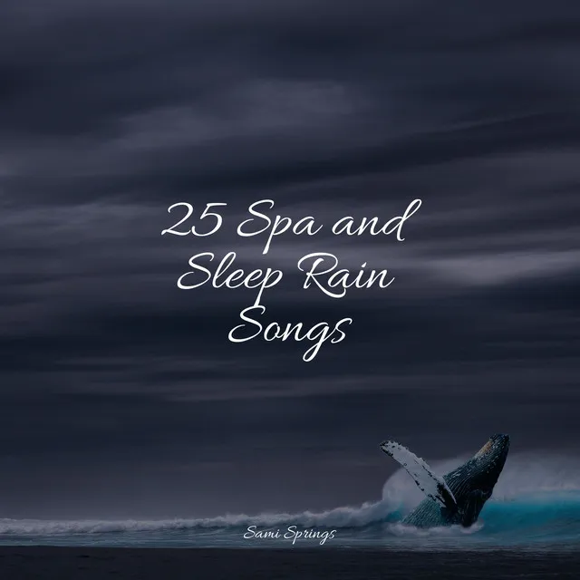 25 Spa and Sleep Rain Songs