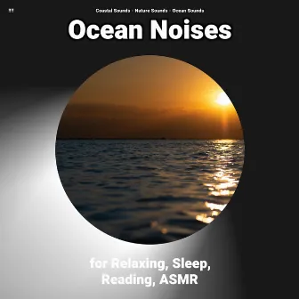 !!!! Ocean Noises for Relaxing, Sleep, Reading, ASMR by Coastal Sounds