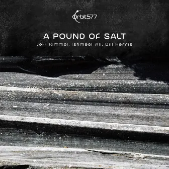 A Pound Of Salt by Jeff Kimmel